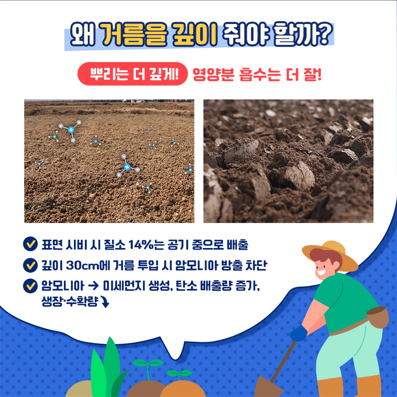 1석 4조 깊이 거름주기 기술