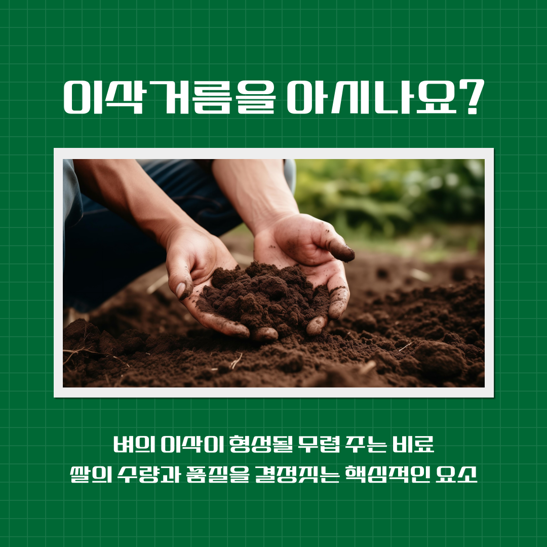고품질 쌀 생산을 위한 ‘이삭거름’ 적기 시용 당부
