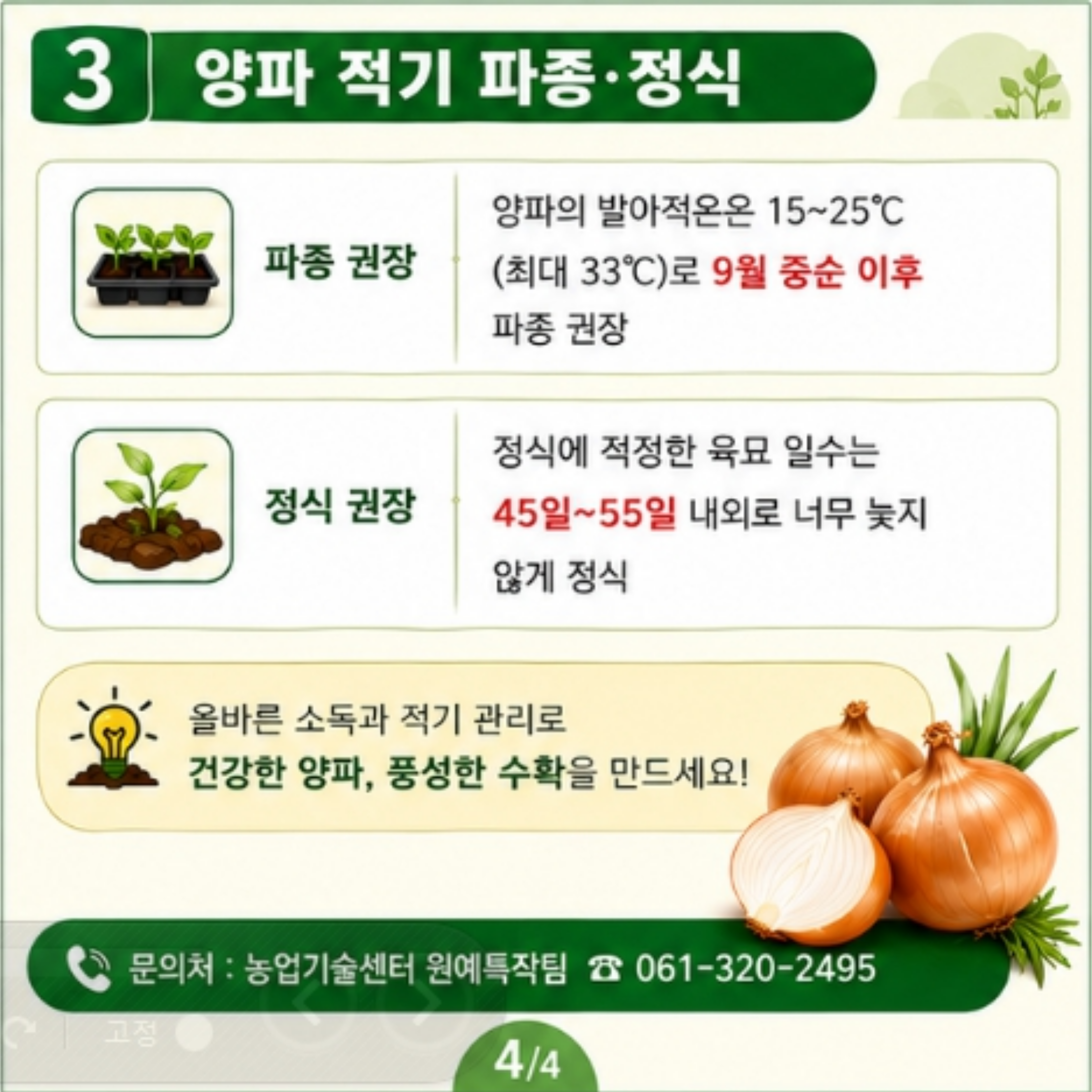 고품질 양파를 위한 토양, 육묘상자 소독 요령