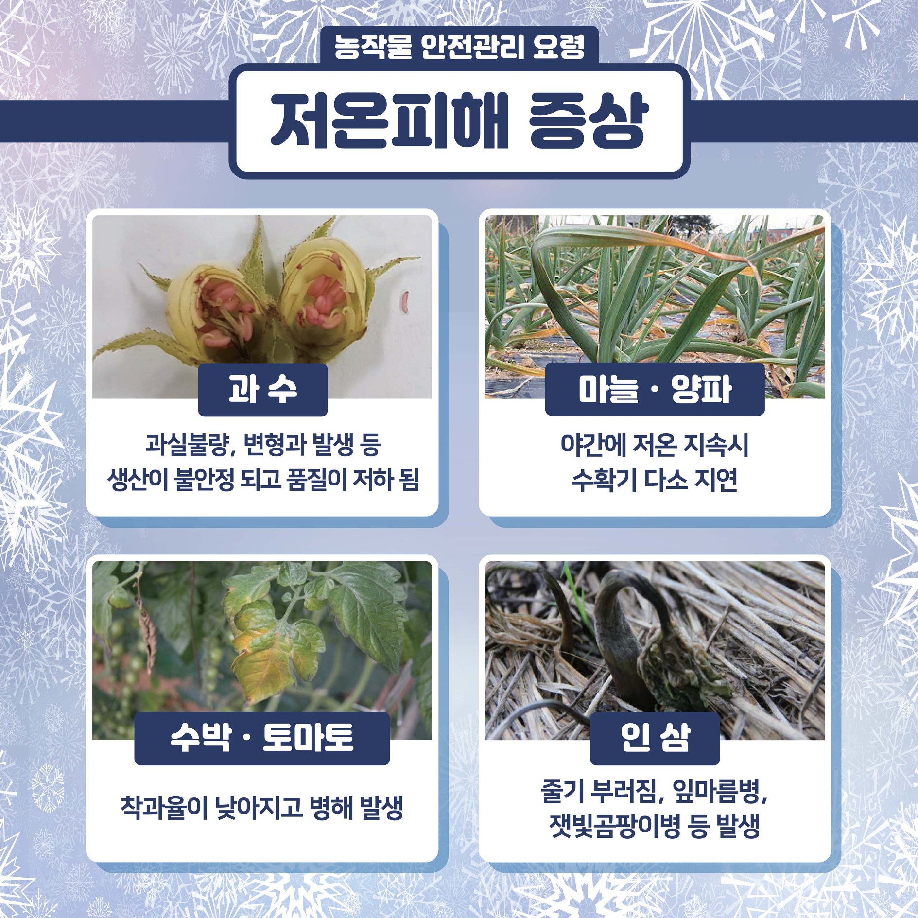봄철 저온피해 예방 농작물 관리요령