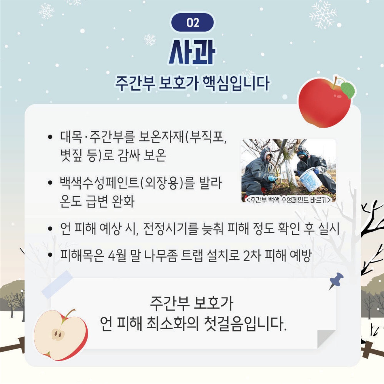 동해 예방을 위한 겨울철 과수원 관리 요령