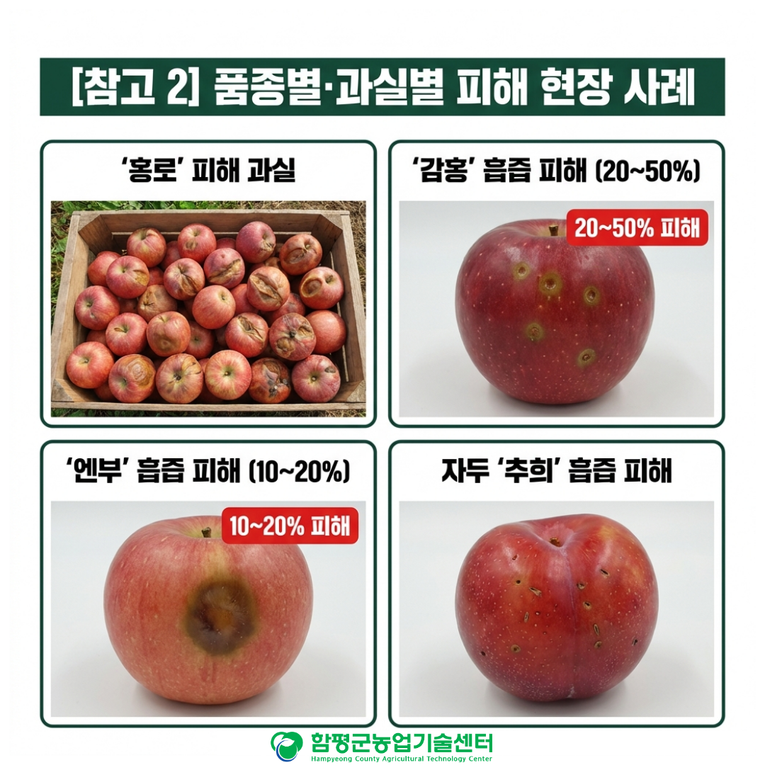 사과 흡수나방 특성 및 대응 방안