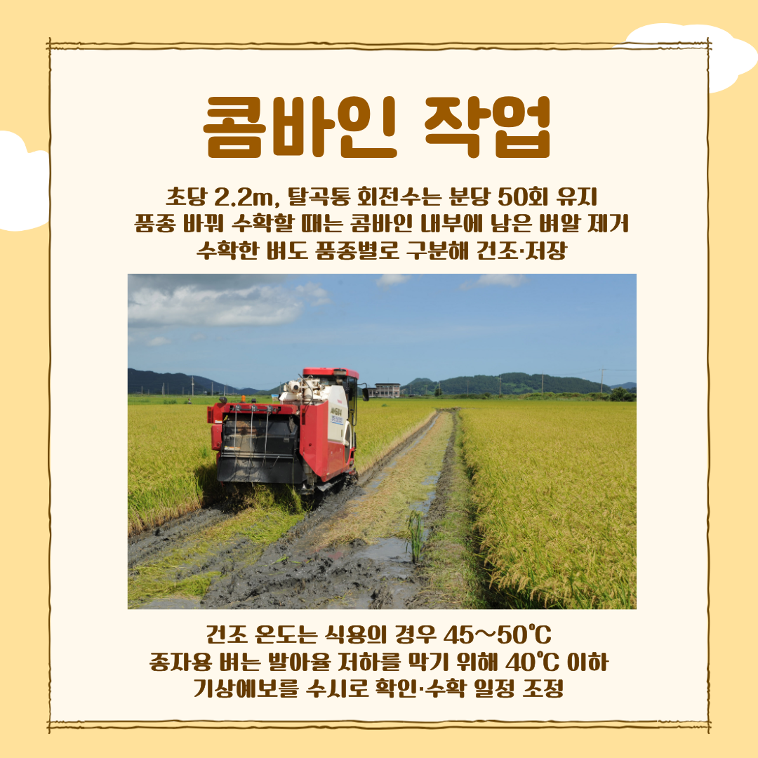 고품질 쌀 ‘수확 적기’ 지켜야