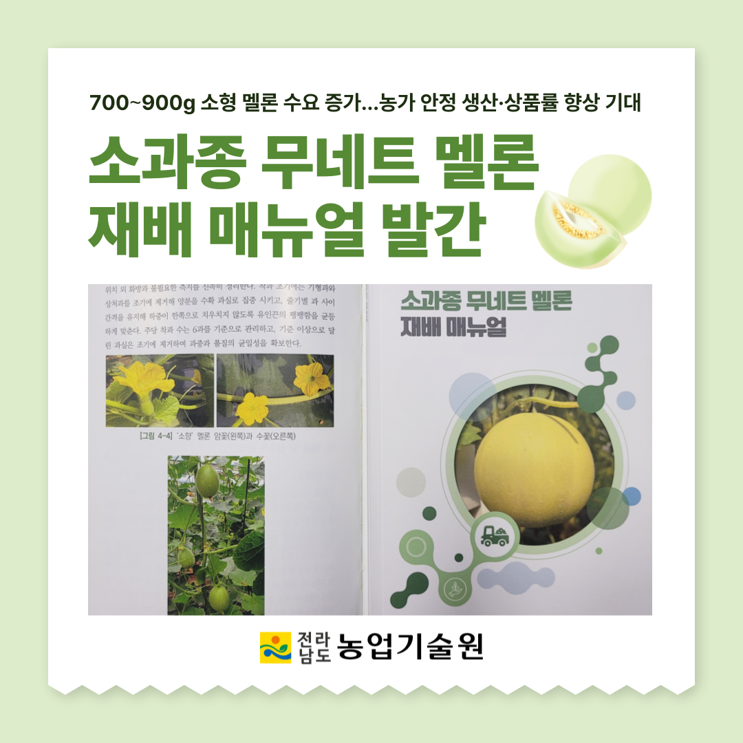 소과종 ‘무네트 멜론’ 재배 매뉴얼 발간