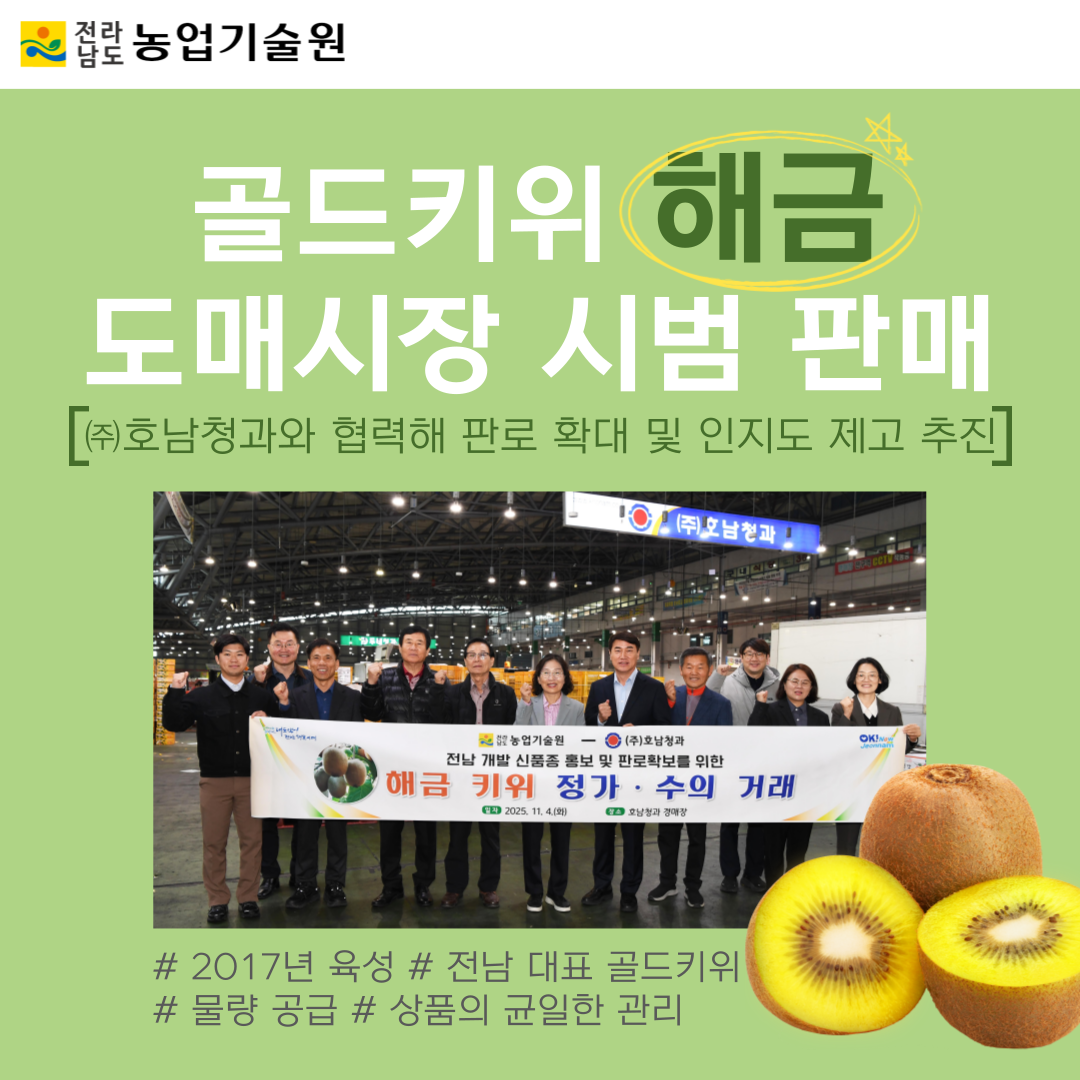 골드키위 '해금' 도매시장 시범 판매 실시