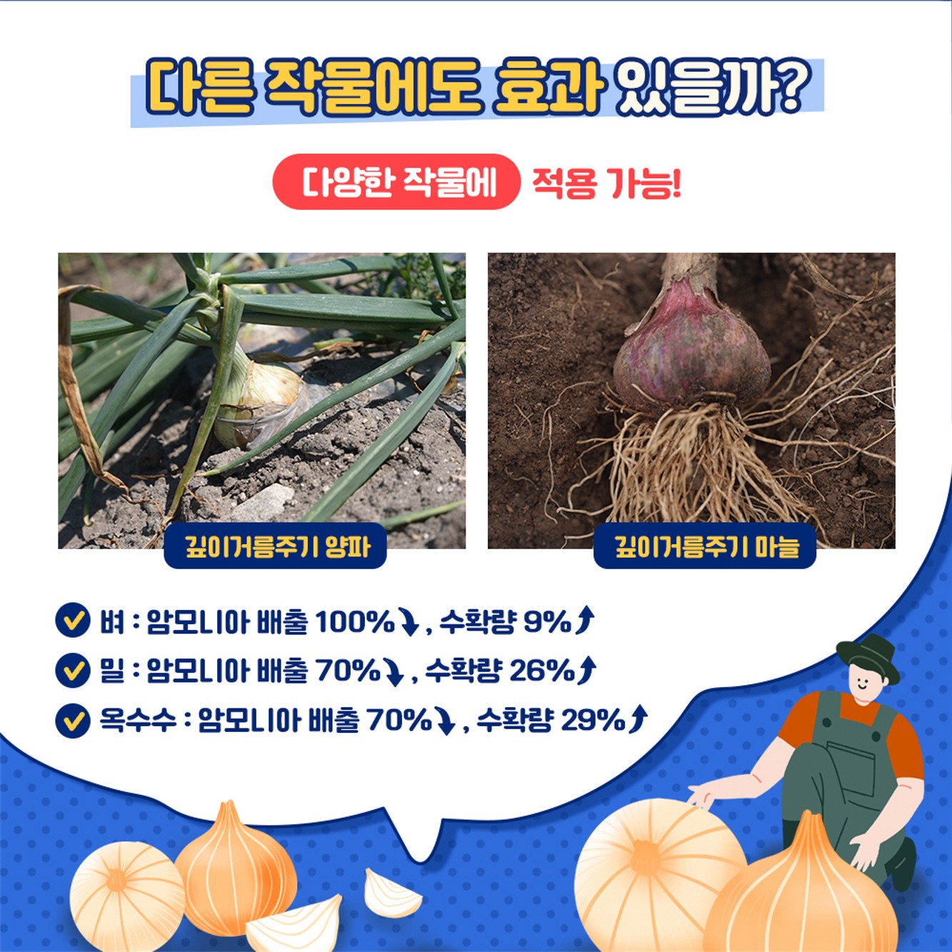 1석 4조 깊이 거름주기 기술