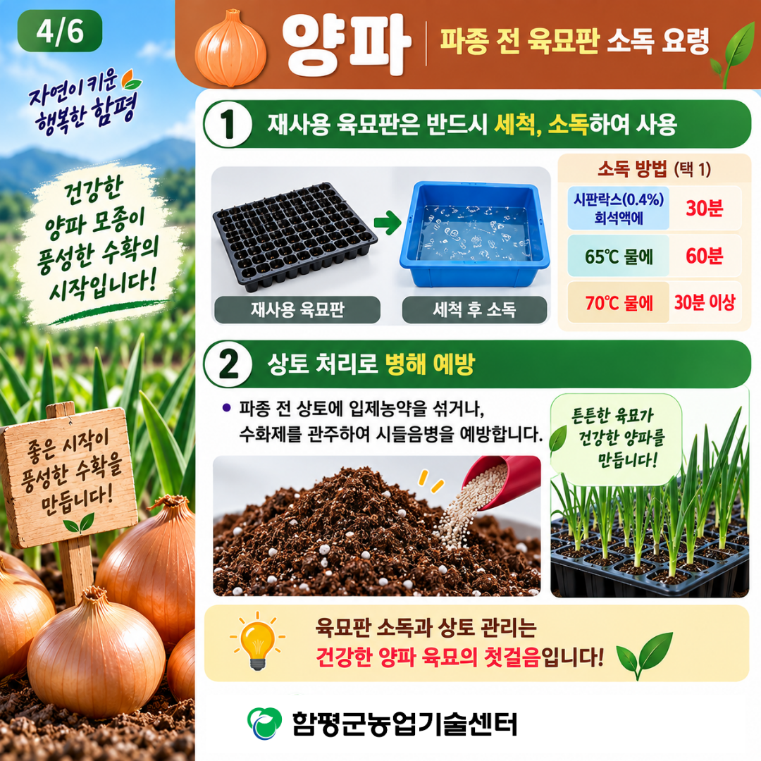 9월 마늘, 양파 적기 파종 및 정식 요령