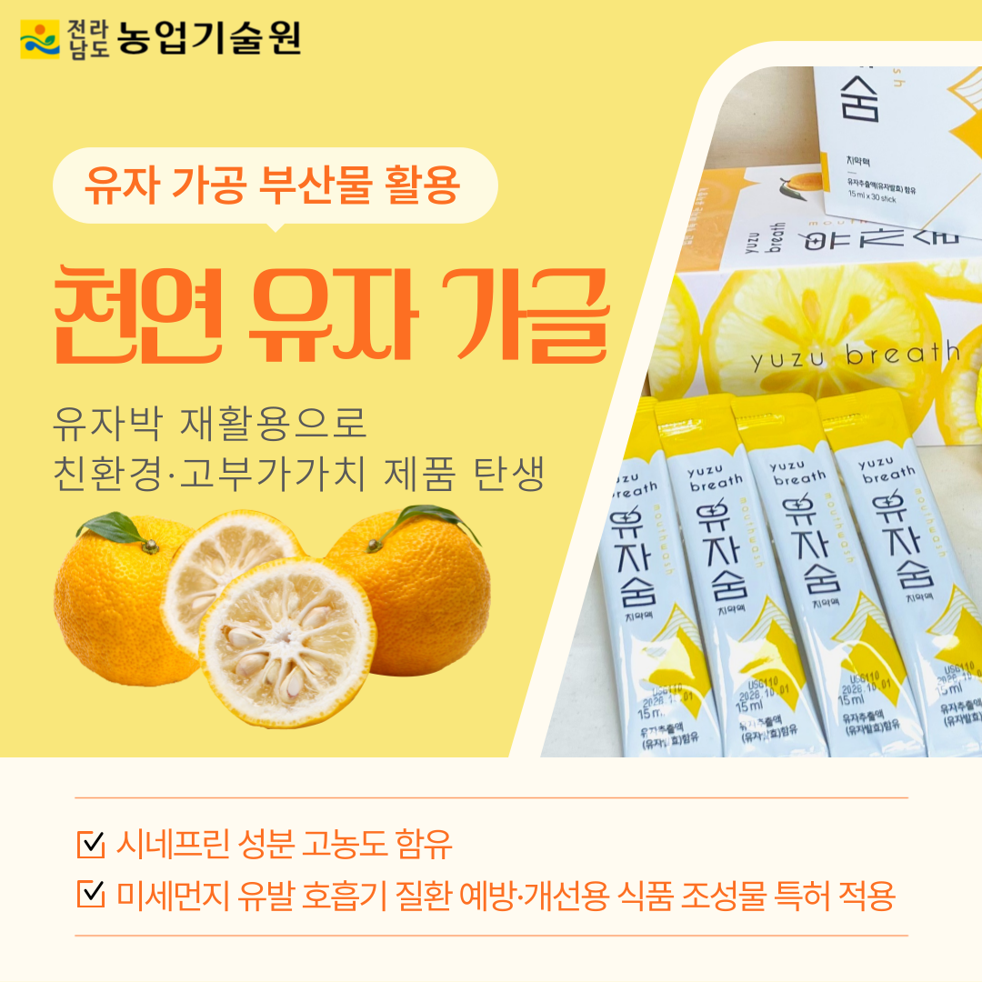 유자 가공 부산물 활용 '천연 유자 가글' 개발