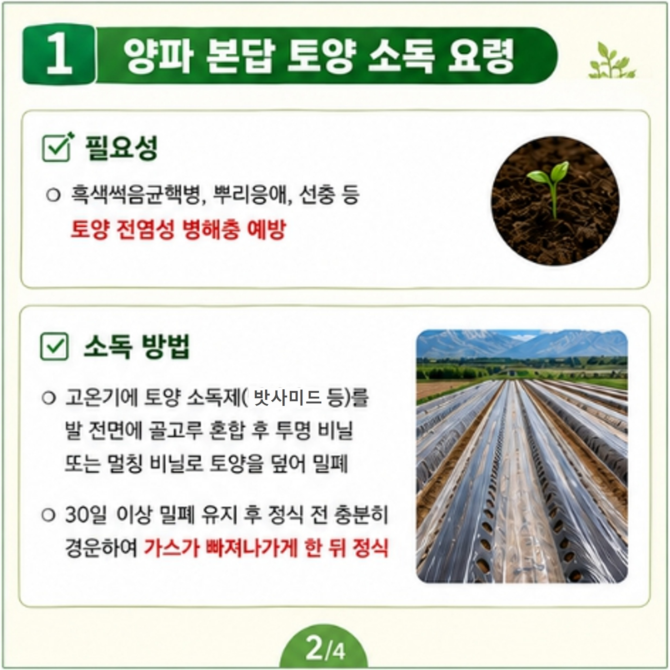 고품질 양파를 위한 토양, 육묘상자 소독 요령
