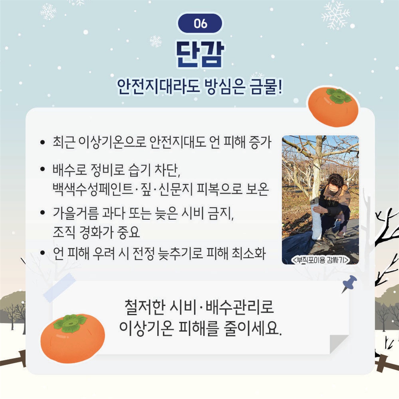 동해 예방을 위한 겨울철 과수원 관리 요령