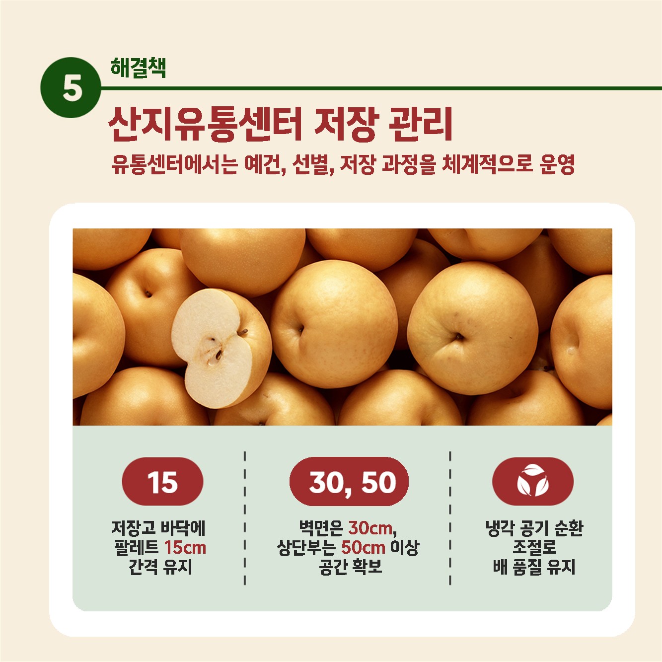 배햇볕데임피해 수확후저장