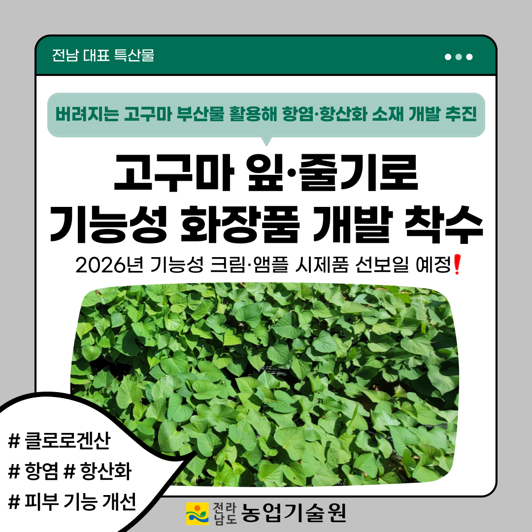 고구마 잎·줄기로 기능성 화장품 개발 착수