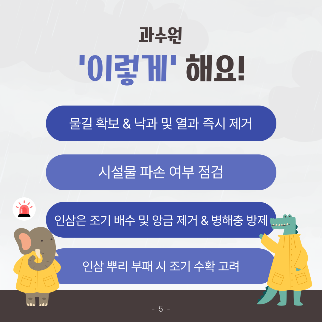 집중호우 이후 농작물 피해 최소화 당부