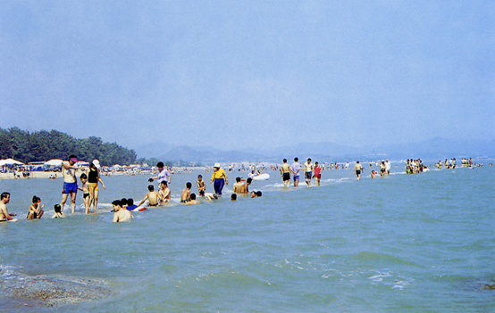 1988년 돌머리해수욕장