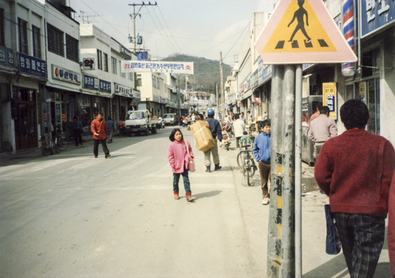 1988년 함평읍 시가지