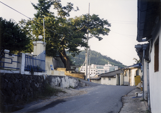 1990년 함평골프고에서 천주교 가는 길