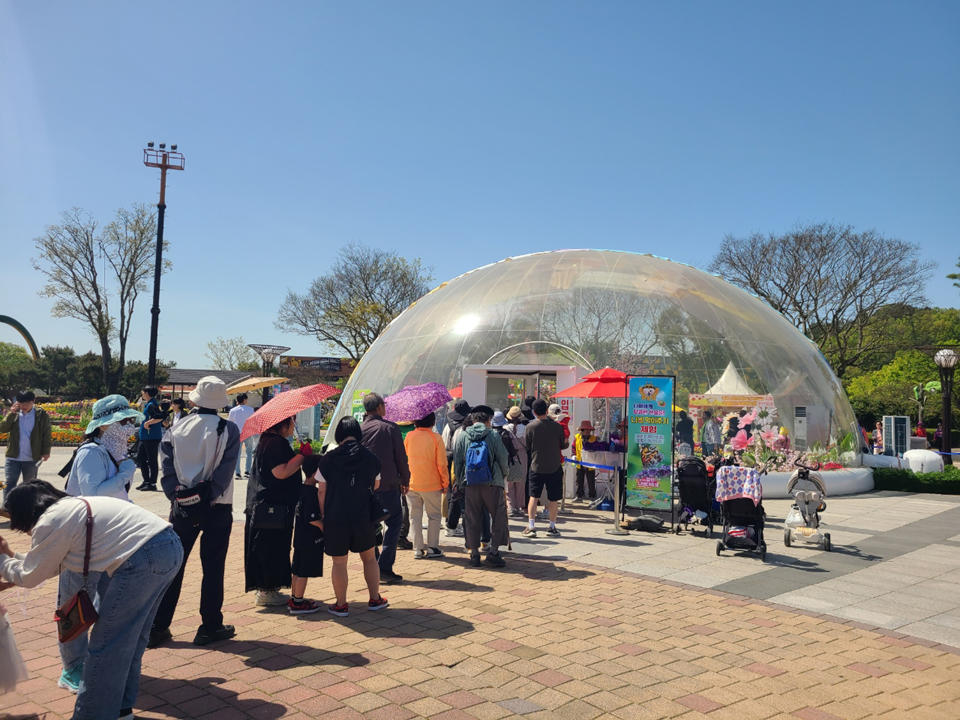 “나비와 찰칵”…제28회 함평나비대축제, 나비 먹이주기 체험 운영