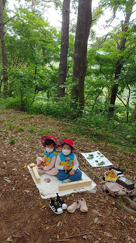 2020년 함평자연생태공원 유아숲체험 6월