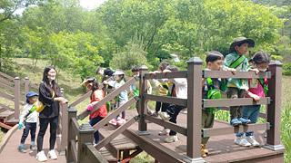 2020년 함평자연생태공원 유아숲체험 5월