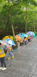 2020년 함평자연생태공원 유아숲체험 7월