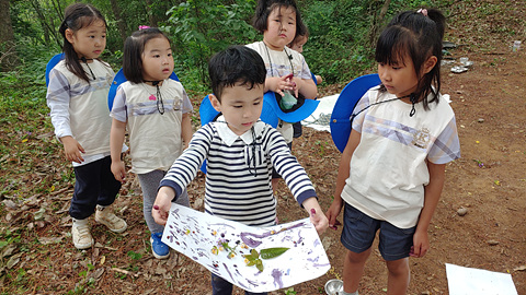 2020년 함평자연생태공원 유아숲체험 6월