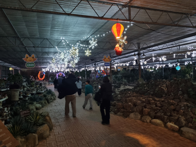 함평엑스포공원 다육식물관, 환상적인 ‘겨울 동화마을’ 재탄생
