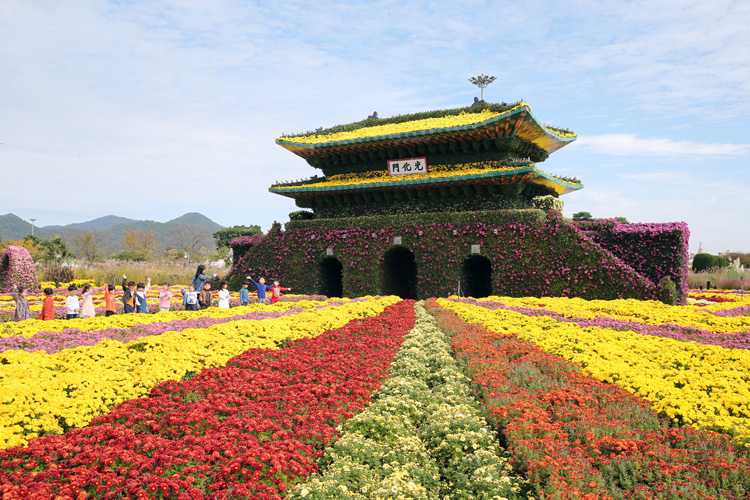 대한민국국향대전15