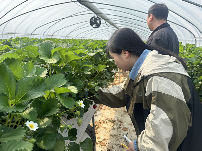 농업인 곁으로! 함평군, 영농철 현장 중심 기술지원 돌입