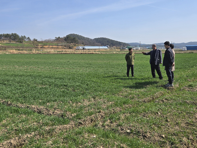 함평군, 기능성 겉보리 ‘베타헬스’ 현장실증 연구 본격 착수