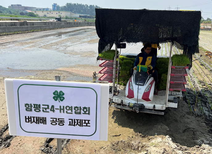 함평군4-H연합회, 공동과제포 모내기 행사 추진