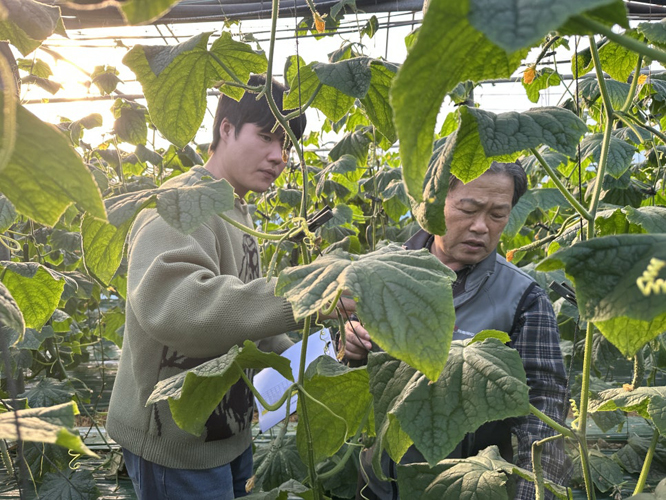 함평군, 봄철 이상 저온 대비…철저한 예방 조치 당부