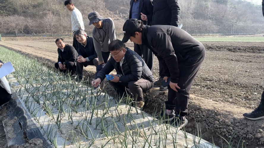 함평군, 농촌진흥청과 봄철 양파 생육 합동 점검에 나서