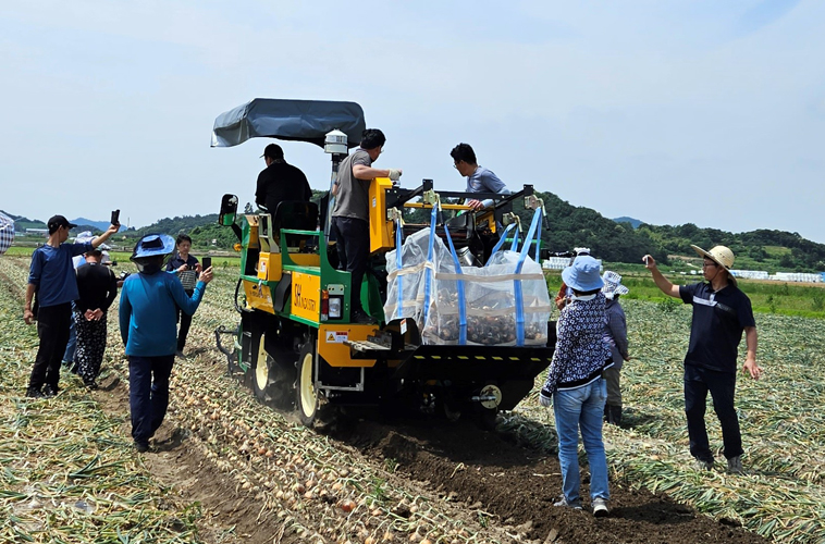 함평군, 양파 기계 수확 시연회 성료 “인력‧비용 절감 기대”