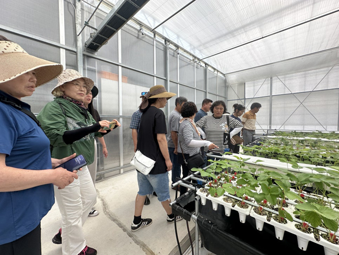 함평군, 딸기 농가 역량 강화 ‘속력’…선진지 견학 성료