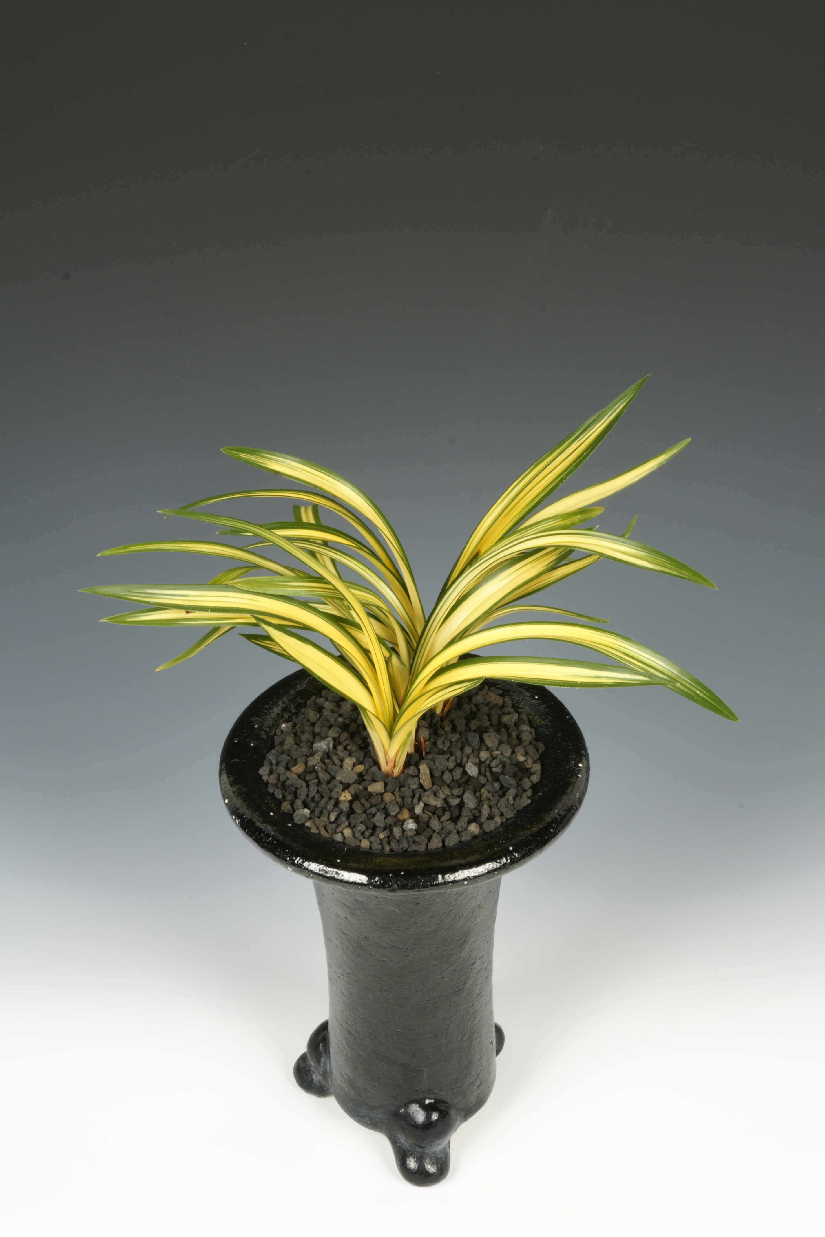 환경부장관상 중투호 이동섭