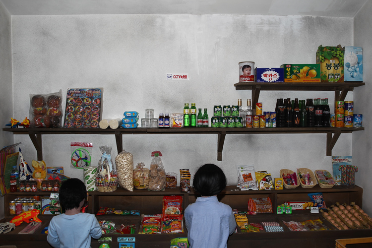 함평나비축제22