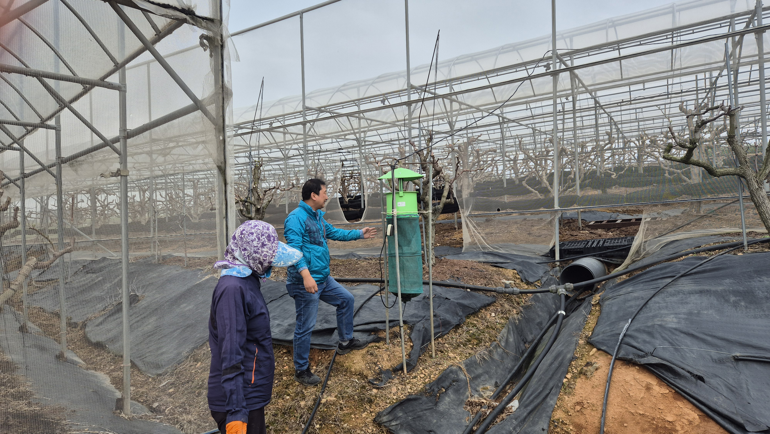 함평군, 지역 농가에 ‘친환경 병해충 방제 포획기’ 보급
