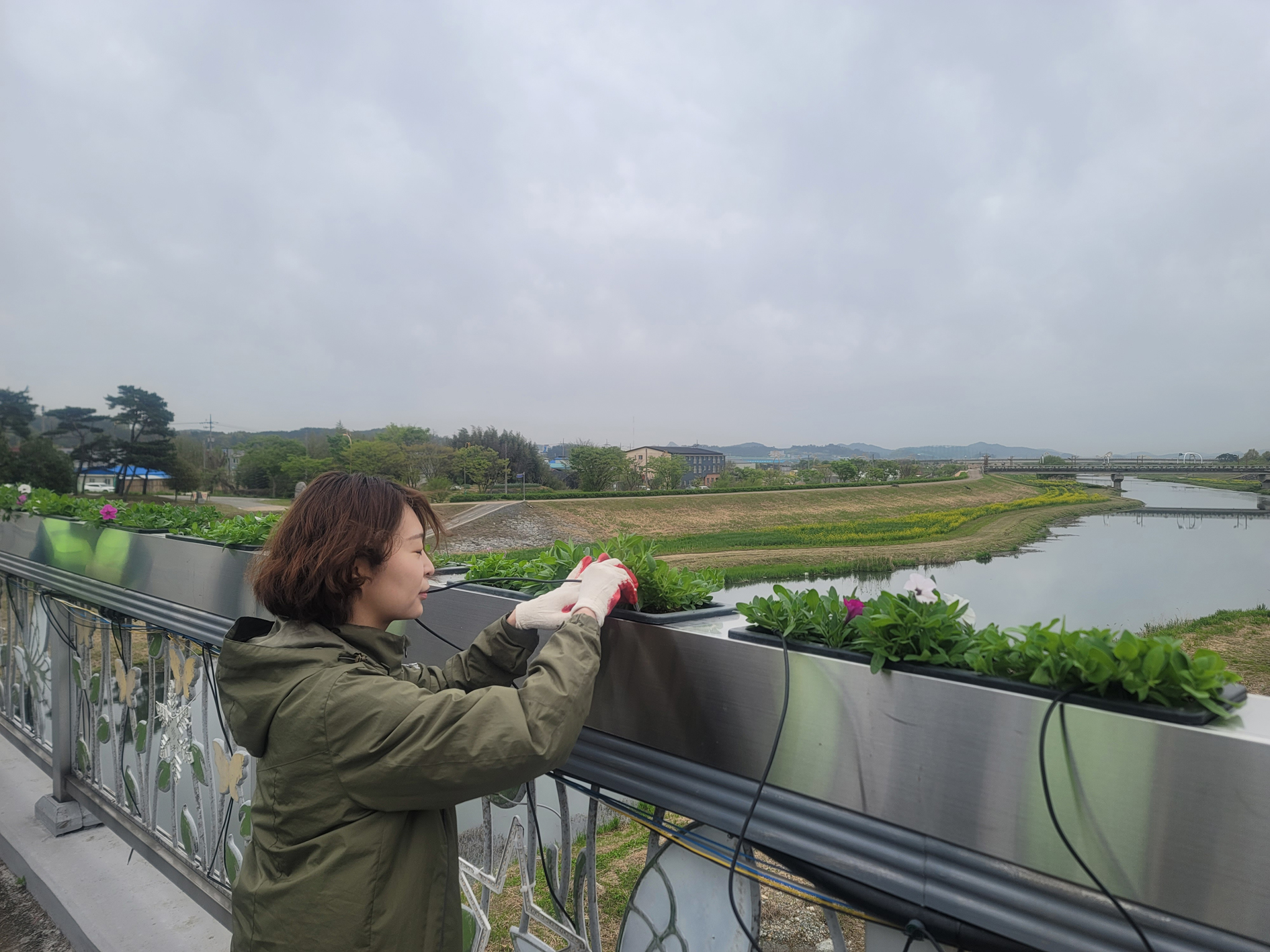 함평군 함평읍, 제28회 나비대축제 맞아 봄꽃 경관 조성 ‘총력’