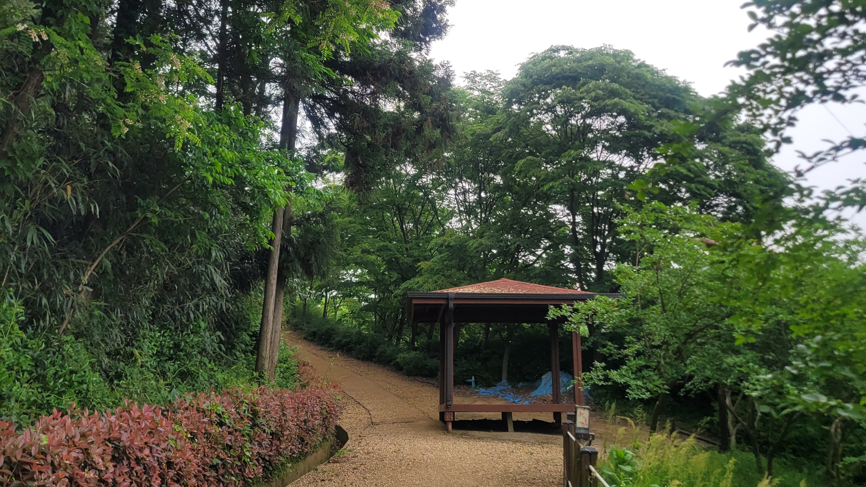 함평 함평읍 수산봉