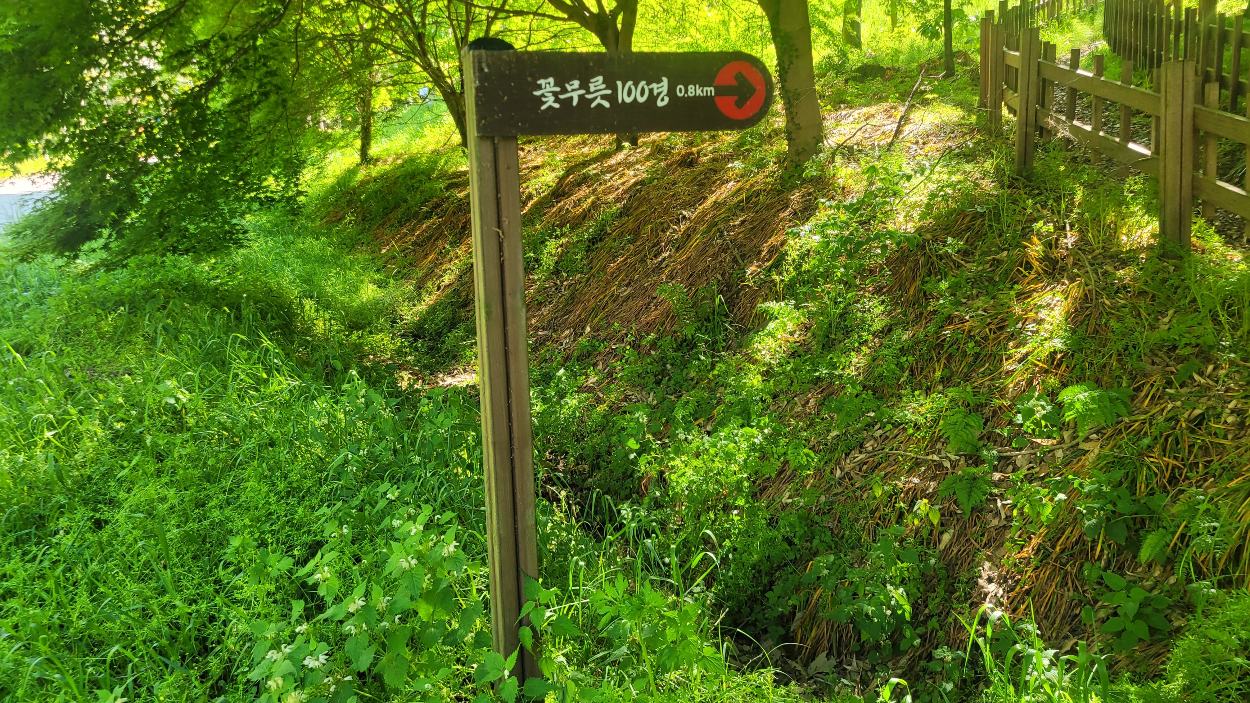 함평 해보면 모악산