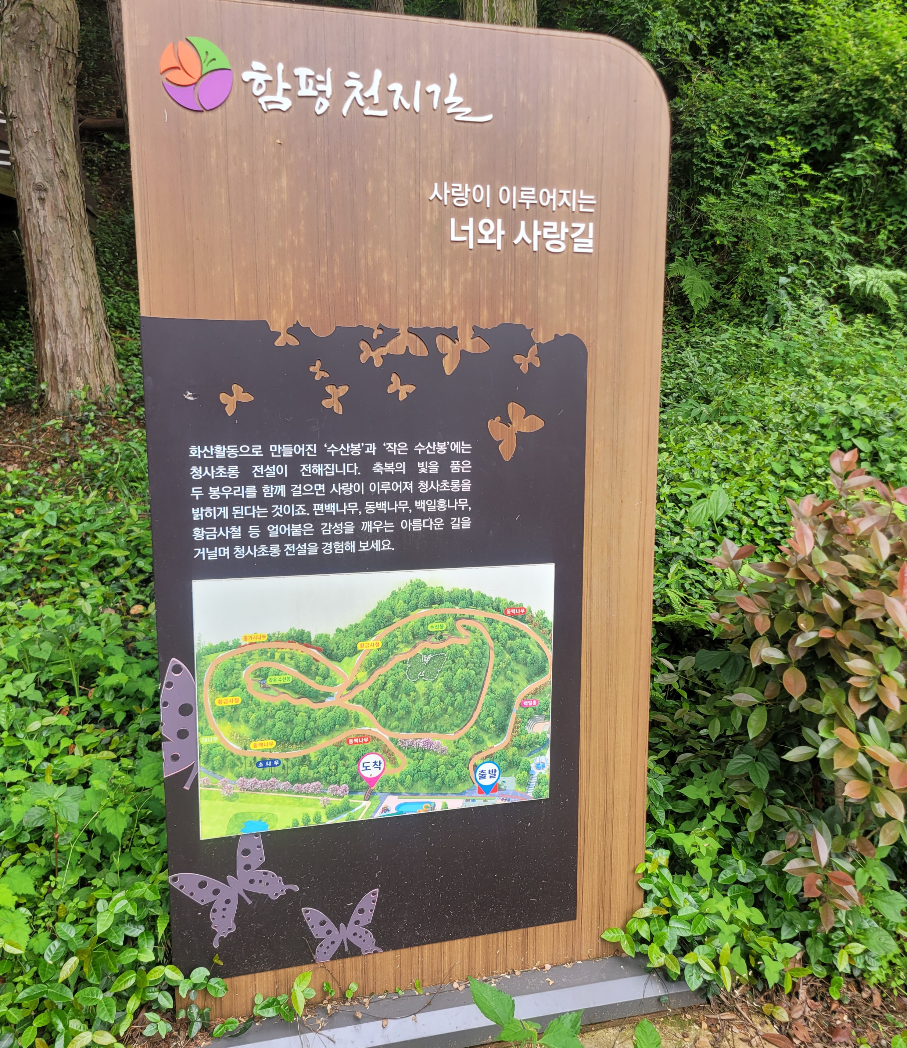 함평 함평읍 수산봉