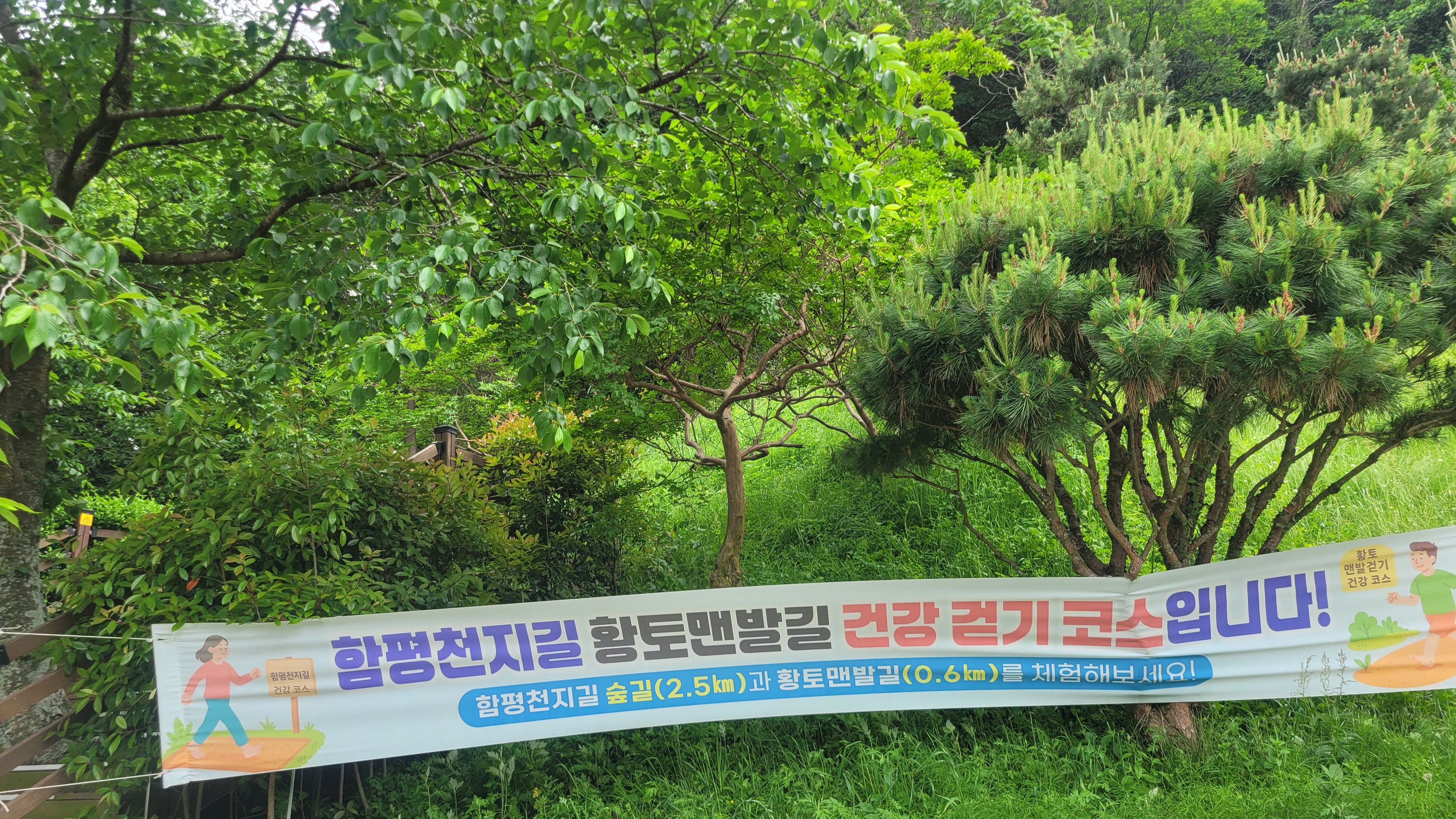 함평 함평읍 수산봉