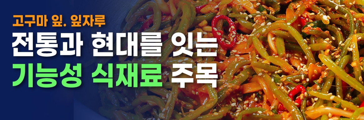 고구마 잎, 잎자루 전통과 현대를 잇는 기능성 식재료 주목