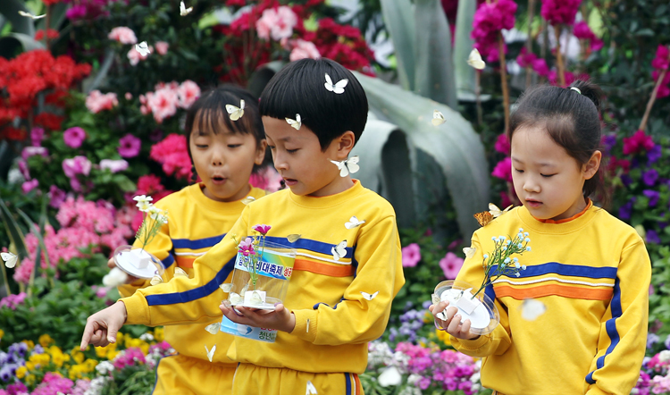 함평나비축제20