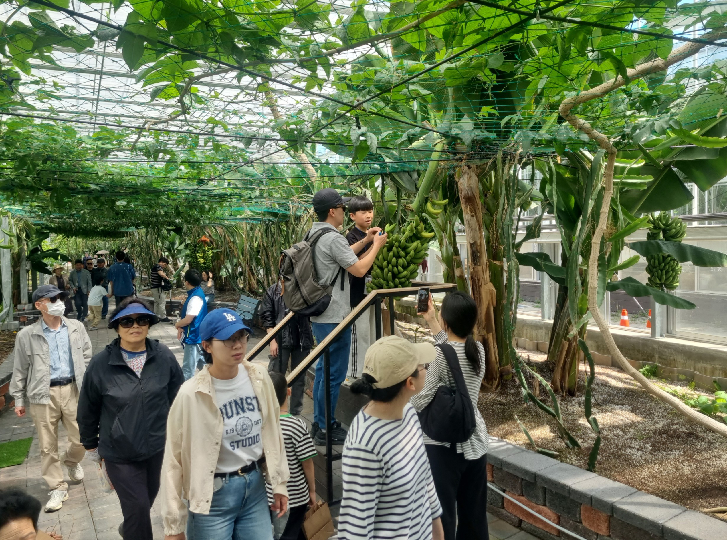 제28회 함평나비대축제 ‘아열대농업관’, 이국적인 전시 ·이색 체험으로 인기몰이
