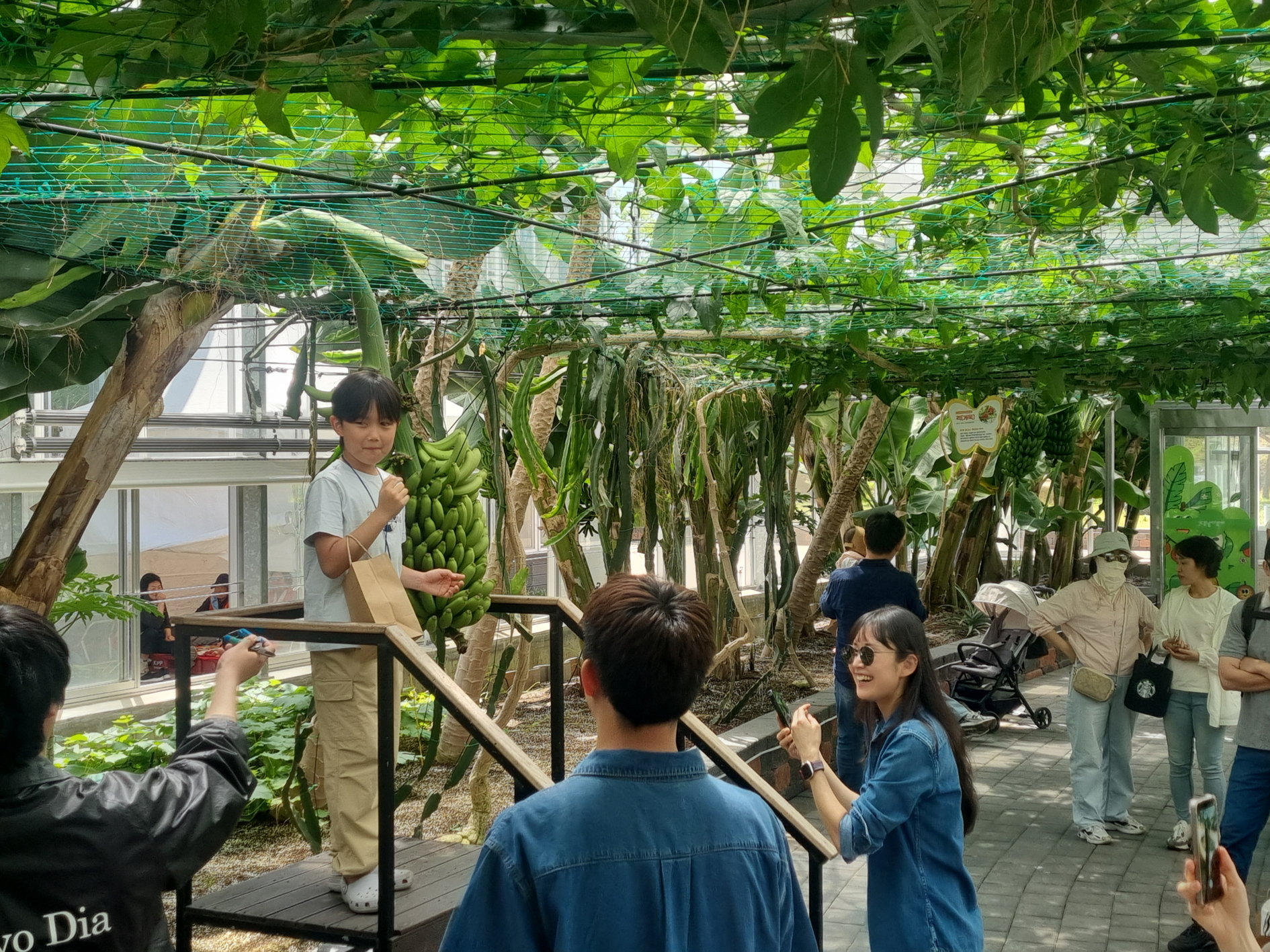 제28회 함평나비대축제 ‘아열대농업관’, 이국적인 전시 ·이색 체험으로 인기몰이