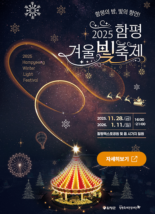 함평 겨울빛축제