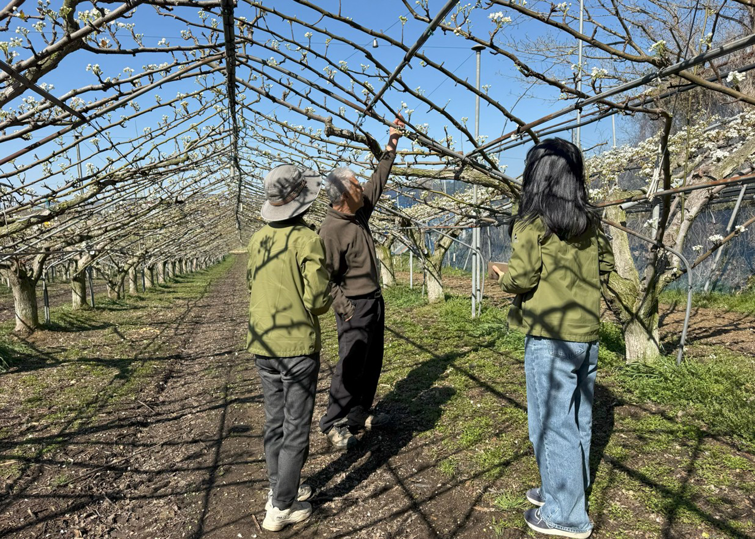 함평군 농업기술센터, 영농철 맞아 ‘일제 출장의 날’ 본격 운영