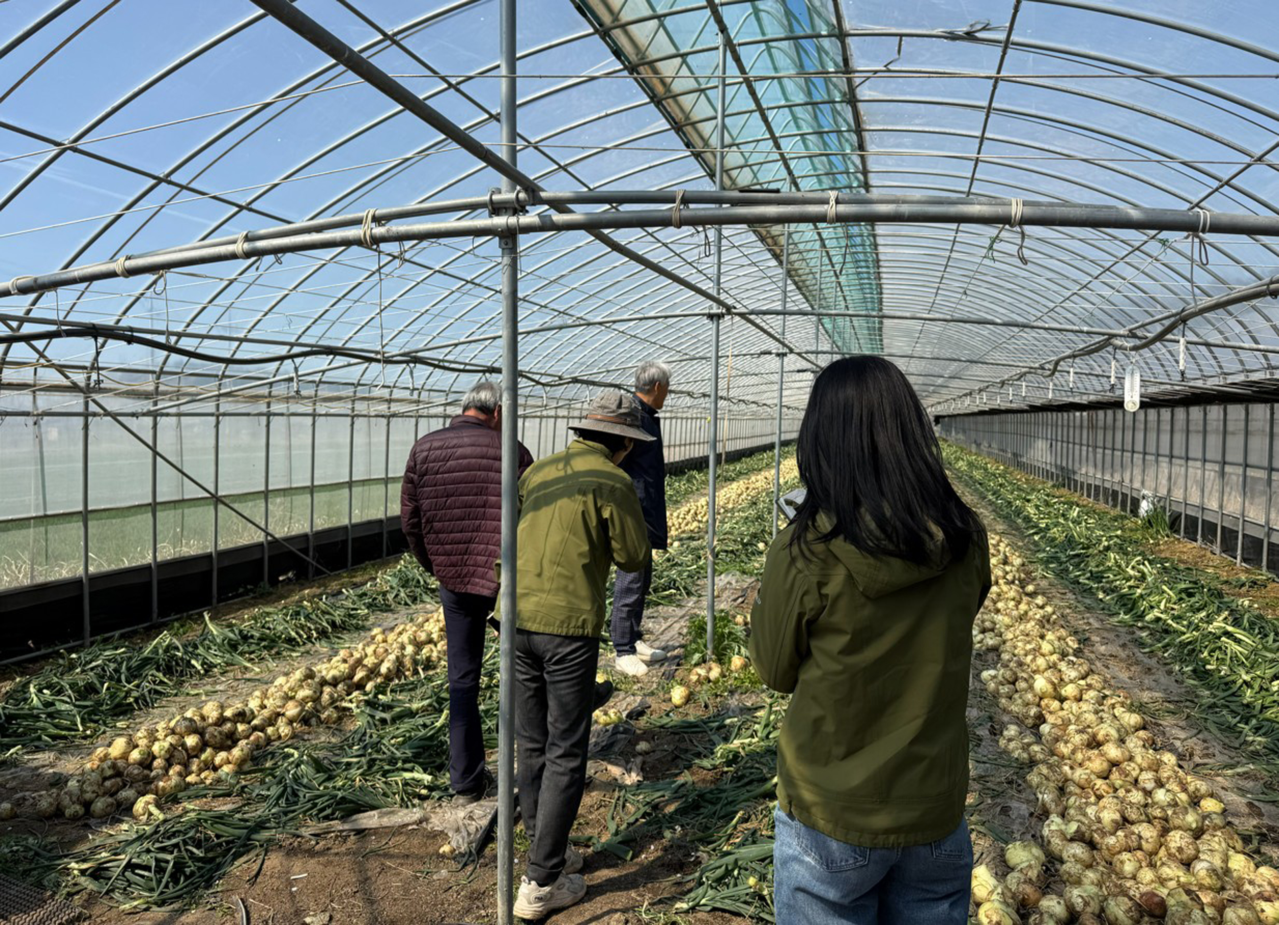 함평군 농업기술센터, 영농철 맞아 ‘일제 출장의 날’ 본격 운영