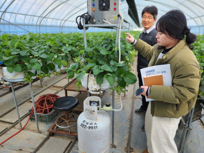 함평군, 겨울철 농업 피해 예방 당부…사전 대비 강화